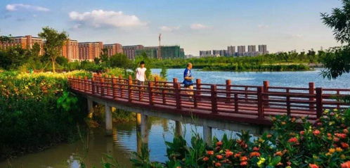 东莞某特色精品村建设规划之swot分析 建科园林景观设计